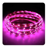 Tira De Led 5 Mts Siliconada Rosa 12v 600 Led ,120 Led X Mts