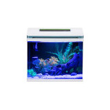 Tanque Betta, Autolimpiable, Led, 5 Galones, Aquascape