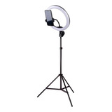 Kit Completo Ring Light Com Tripé Dimmer Youtuber Selfie Pro 110v/220v