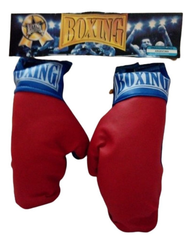 Guantes De Box , Para Niños   Boxing Champion