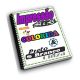 Impressão 1 Apostila(s) Total 275 Pg A4 Color E Encadernada