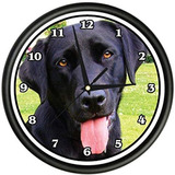 Signmission Negro Labrador Reloj De Pared Perro Perrito Masc