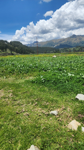 Terreno En Venta - Imagen 2