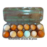 Caixa De Ovos, 50 Unidades Para 12 Ovos De Galinha Caipira