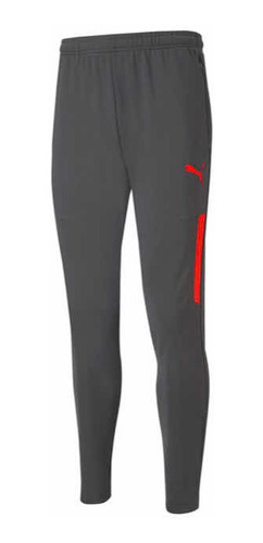 Pants Puma Team Liga Training Talla Grande