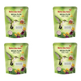 Passaro Beija Flor Kit 4 Un Pacote Beija Flor Nectar 400g