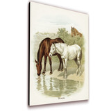 Cuadro 50x30 Cms  Caballo 9