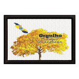 Patch Sublimado Bandeira Orgulho De Ser De Campo Grande