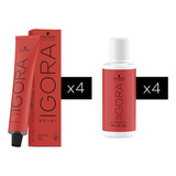 Combo 4 Tinturas Coloracion Igora Royal Schwarzkopf