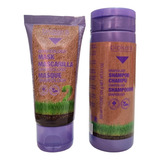 Salerm Grapeology Kit Mini Shampoo Y Mascarilla