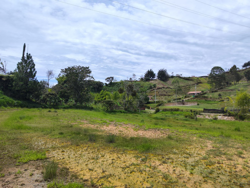 Lote En Gómez Plata