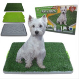 Tapete Entrenamiento Lavable Mascotas Perros Grande Potty