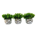 Kit 3 Mini Vasinhos Decorativos De Cerâmica Prata C/ Planta