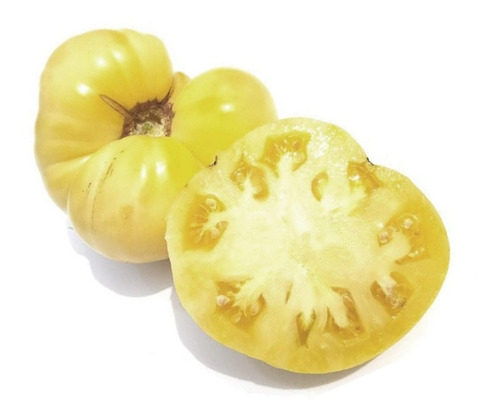 Semillas De Tomate White Tomesol Blanco Orgánicas 