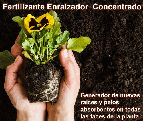 Fertilizante Enraizador Concentrado Por 15 Ml (rinde 12 Lt)