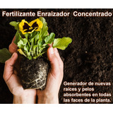 Fertilizante Enraizador Concentrado Por 10 Ml (rinde 8 Lt)