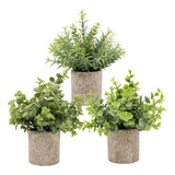 Set De.plantas Artificiales Decorativas Para Hogar.ofici