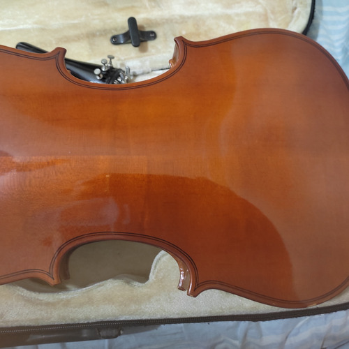  Violino