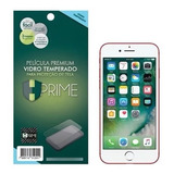 Película Premium Vidro Apple iPhone 7 / 8 / Se 2020