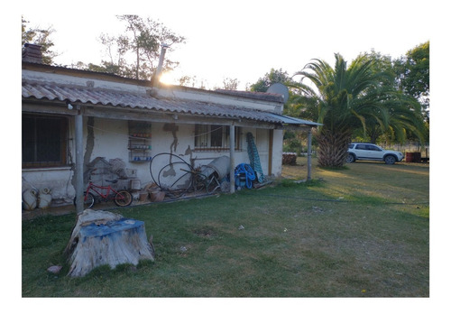 Campo En Venta En Punta Indio - 8 Has Monte-casa - Imagen 2