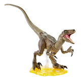 Mundo Jurasico Coleccion De Ambar Velociraptor