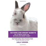 Conejos Enanos De Holanda Costo De Cria De Conejos Enanos De