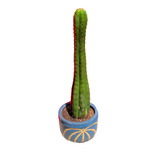 Cactus Maceta Arcilla