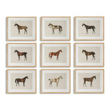 Cuadros De Caballos Vintage 9pcs