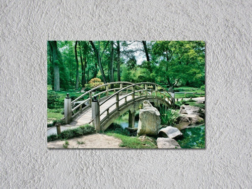 Cuadro Canvas Jardin Puente 