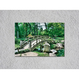 Cuadro Canvas Jardin Puente 