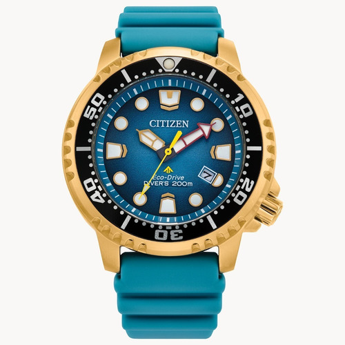 Reloj Citizen Promaster Dive Bn0162-02x Ts