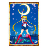 1 Cartel Metal Aluminio Serie Retro Sailor Moon, 40x28 Cms