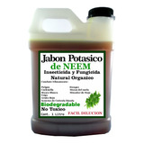Jabon Potasico De Neem 1lt 50% Facil Dilucion Insecticida