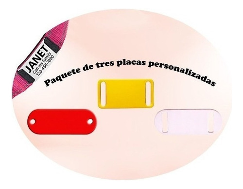 3 Placas Mascotas Llavero Grabado Personalizado Lujo Pulsera