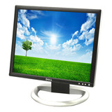 Monitor Dell 1907fpc/1908fpc Lcd 19 Pulgadas (dvi-vga)