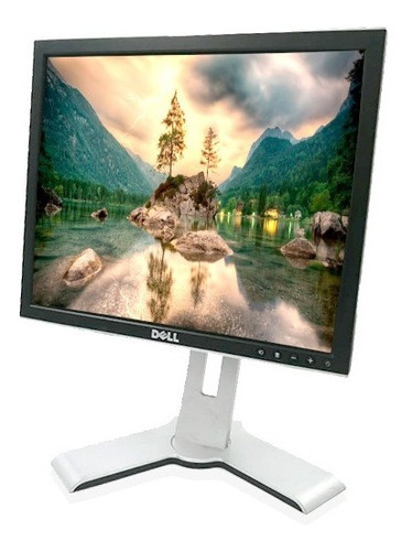 Monitor Dell 17   Cuadrado  Barato