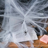 Kit Decoracao Dia Das Bruxas Hallowen Teia Aranha