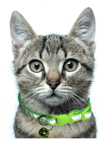 Collar Para Perros Y Gatos Raza Pequeña Con Cascabel Diseño