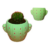 Molde Reforzado Para Maceta Cactus 15 Cm