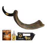 Shofar De Chifre Antílope + Capa - De Israel + Brinde # L6