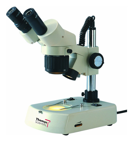 Thomas Binocular Microscopio Estereo Con Dual Halogeno Stand