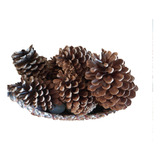 Piñas Naturales Decorativas X 18  Fuego Navidad - Estilo Gep