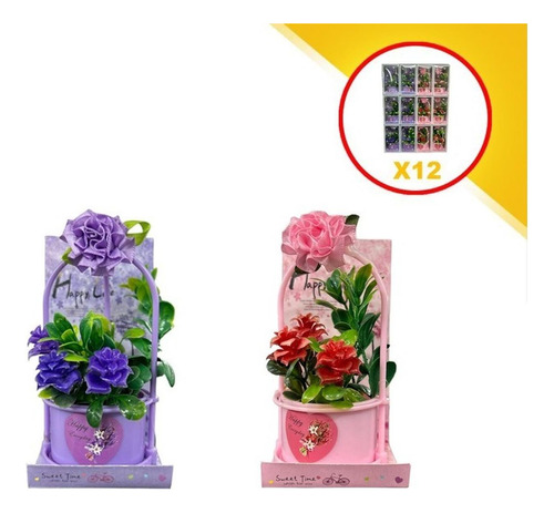 Caja Con Cubeta De Flores Y Plantas Regalo Mayoreo 12 Piezas