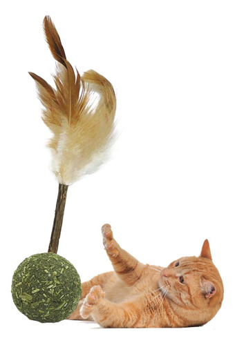  Cone Catnip Matatabi Stick Pena Para Gatos Jambo Pet