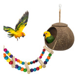 Coconut Bird House Eeaivnm Con Escalera Para Pájaros Pequeño