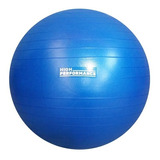 Pelota De Esferodinamia Gym Ball 65 Cm. Pilates Yoga S/inf