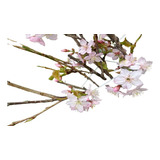 Arbolito Cerezo Japonés Sakura Injertado Yamasakura