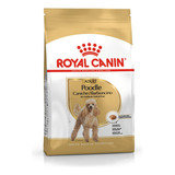 Royal Canin Perro Adulto Caniche Poodle 3kg