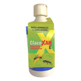 Insecticida Glacoxan E Hormigas Y Grillotopo 500cc