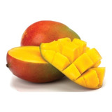 Mango Tomy Petacon Enano Organico Leer Descripcion Antes